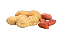 Peanut